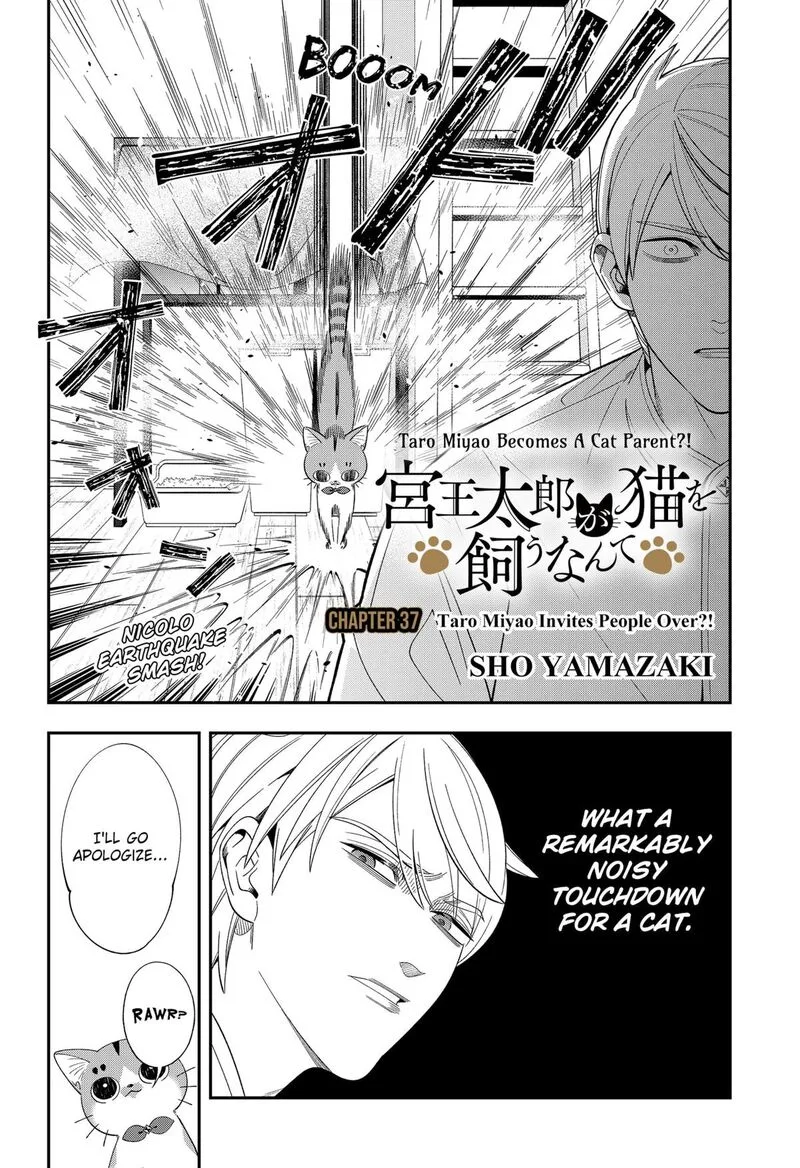 Miyaou Tarou ga Neko wo Kau Nante Chapter 37 page 2