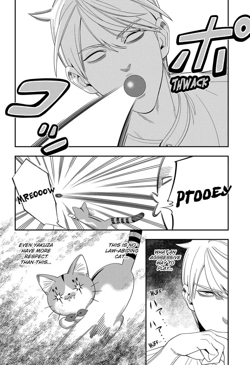 Miyaou Tarou ga Neko wo Kau Nante Chapter 38 page 4