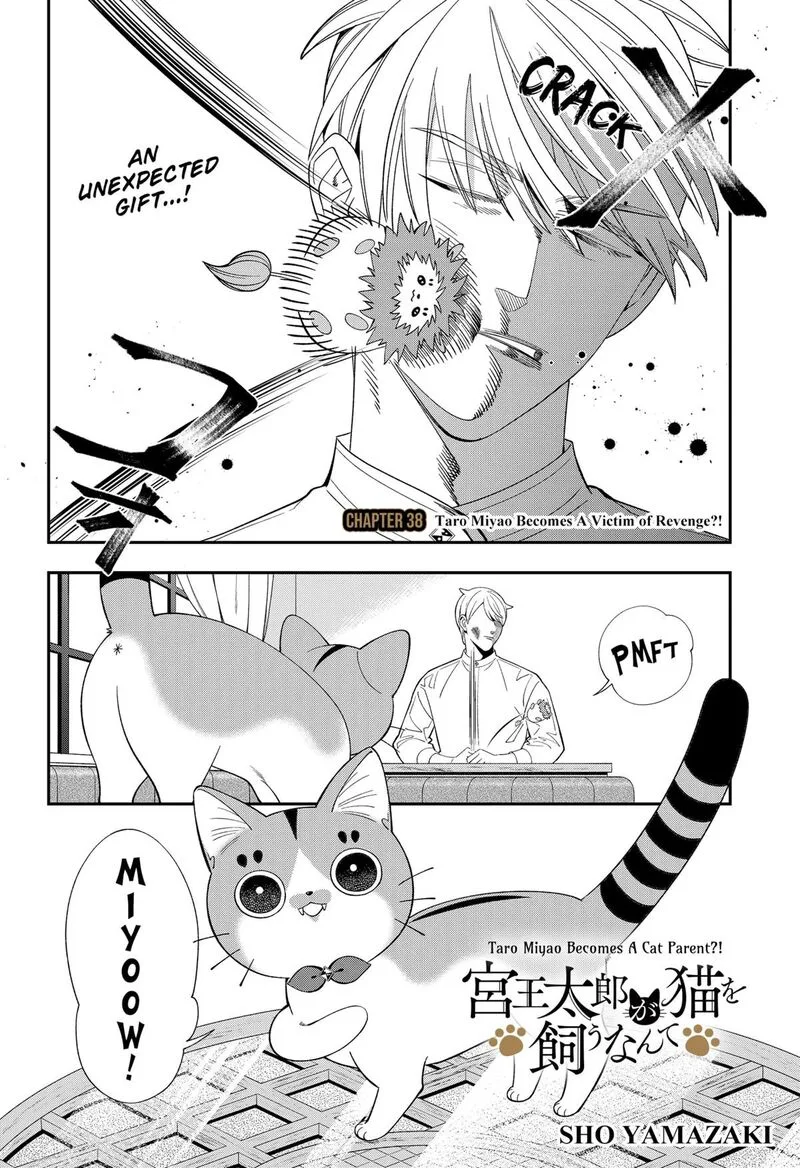 Miyaou Tarou ga Neko wo Kau Nante Chapter 38 page 2