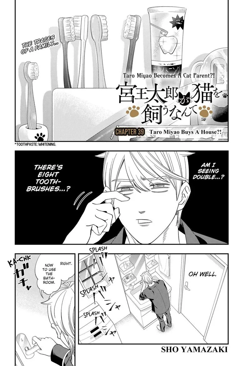 Miyaou Tarou ga Neko wo Kau Nante Chapter 39 page 2