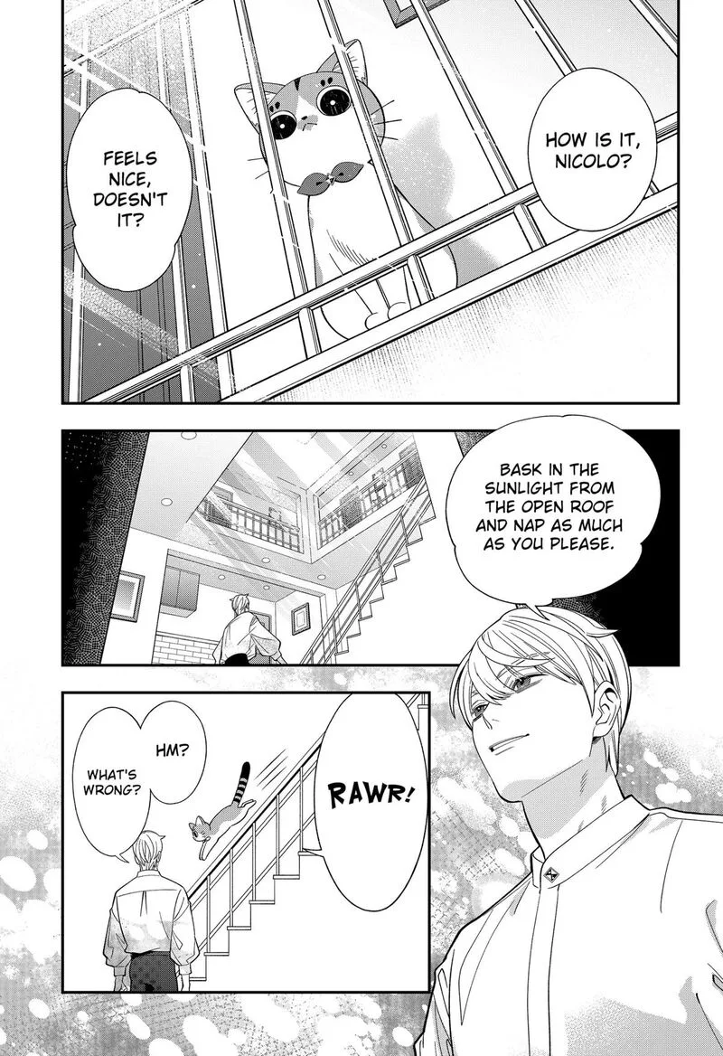 Miyaou Tarou ga Neko wo Kau Nante Chapter 39 page 11