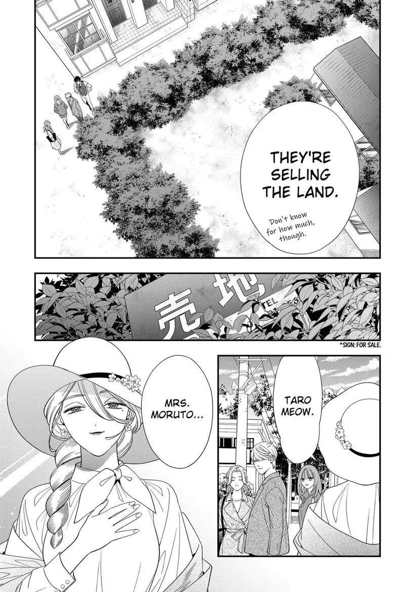 Miyaou Tarou ga Neko wo Kau Nante Chapter 39 page 19
