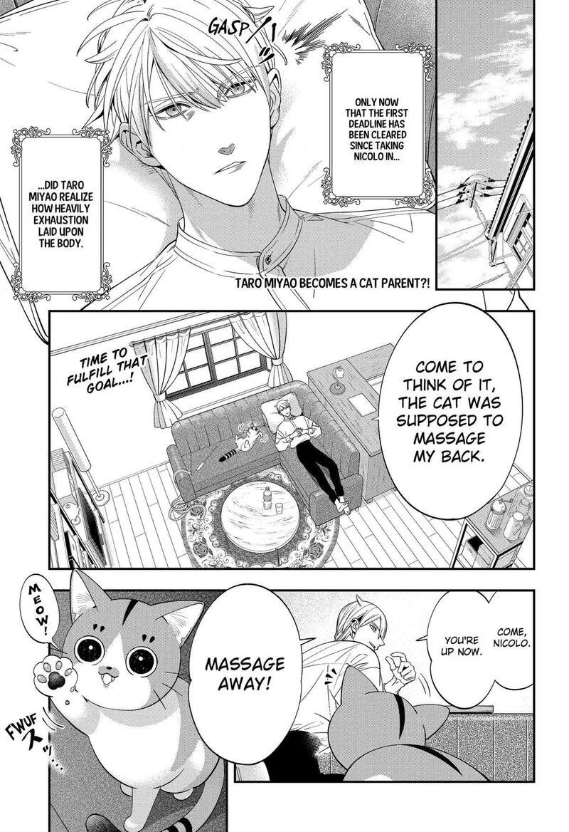 Miyaou Tarou ga Neko wo Kau Nante Chapter 4 page 1
