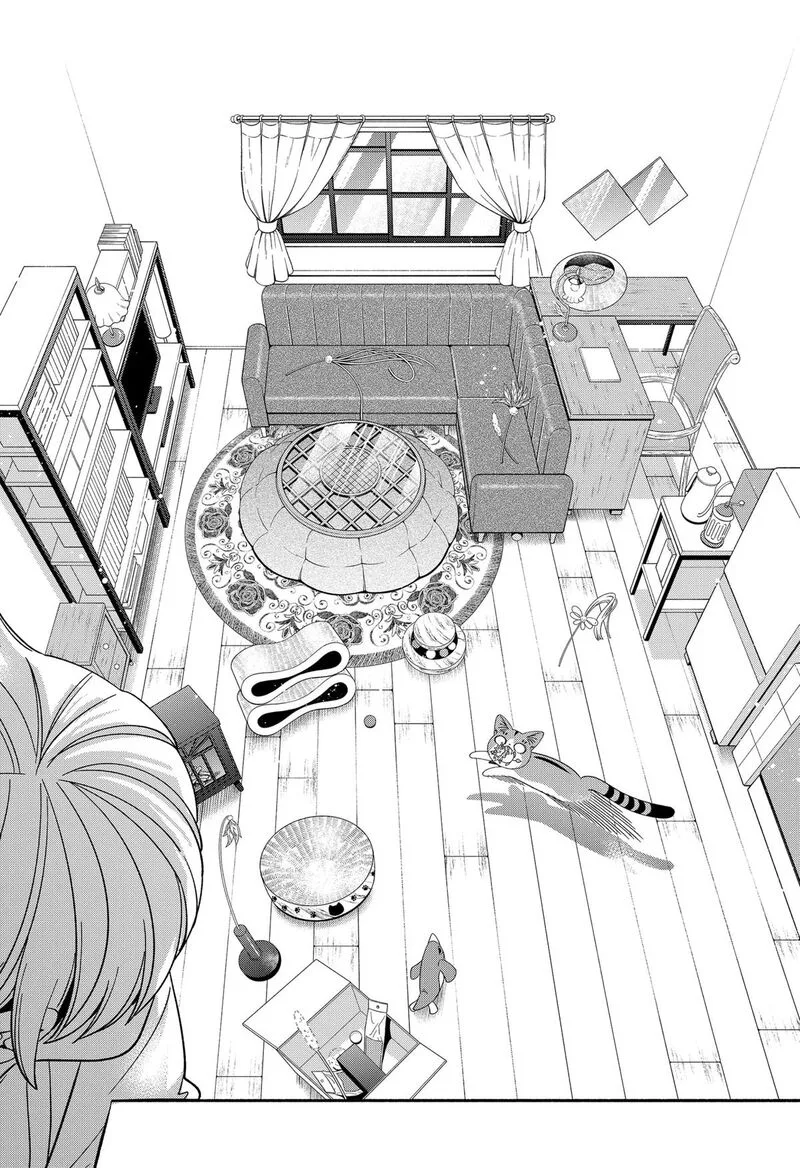 Miyaou Tarou ga Neko wo Kau Nante Chapter 40 page 6