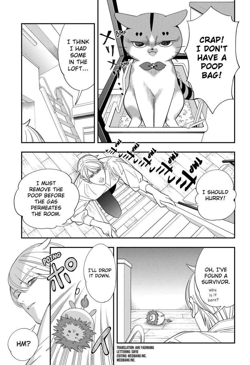 Miyaou Tarou ga Neko wo Kau Nante Chapter 40 page 5