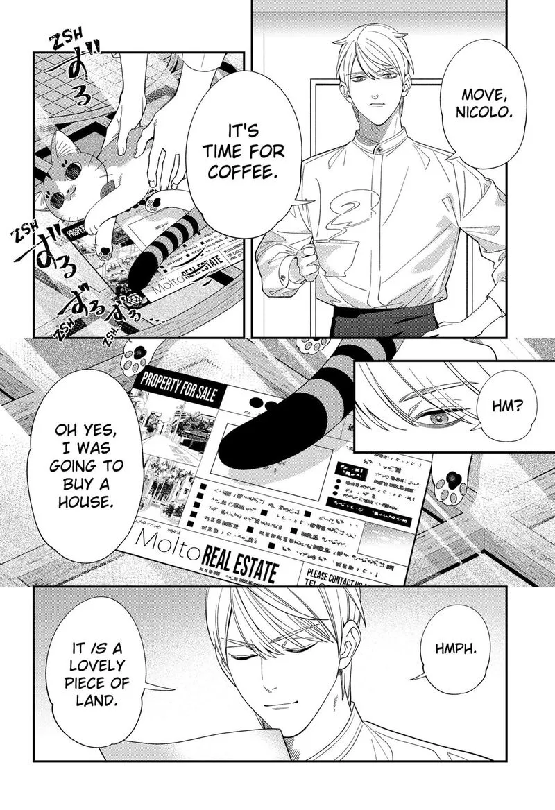 Miyaou Tarou ga Neko wo Kau Nante Chapter 40 page 8