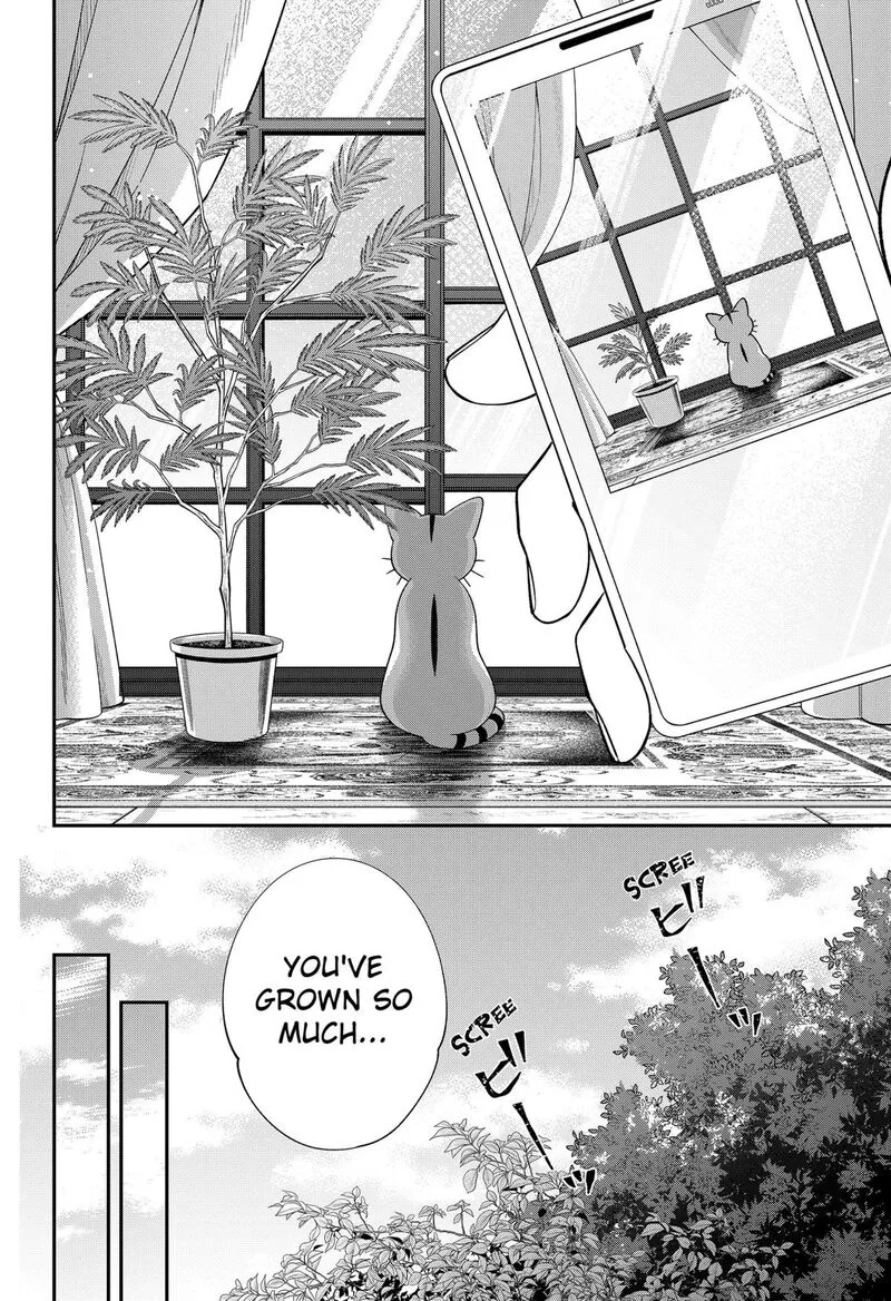 Miyaou Tarou ga Neko wo Kau Nante Chapter 40 page 4