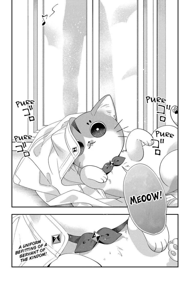 Miyaou Tarou ga Neko wo Kau Nante Chapter 6 page 12