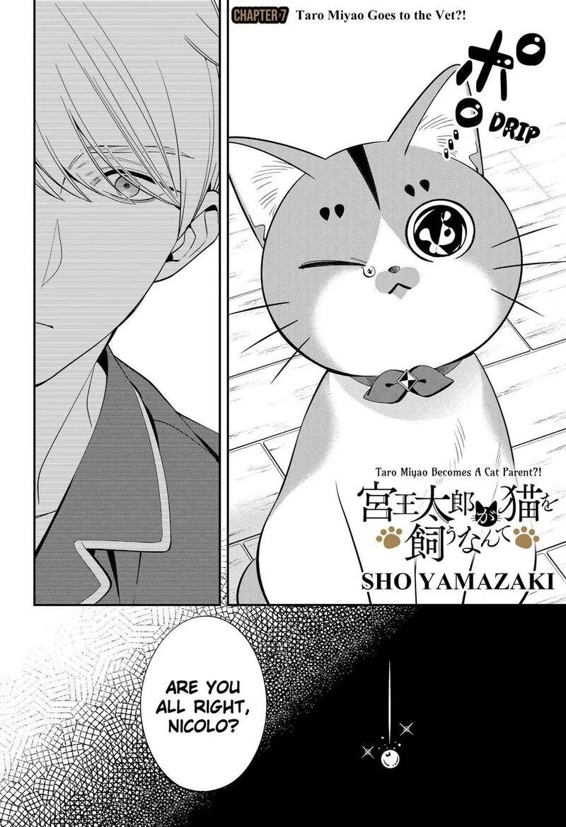 Miyaou Tarou ga Neko wo Kau Nante Chapter 7 page 2