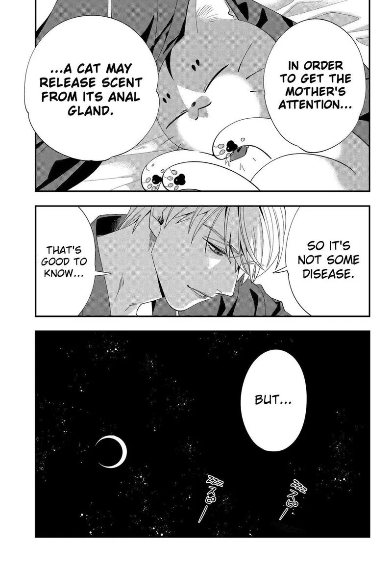 Miyaou Tarou ga Neko wo Kau Nante Chapter 9 page 25