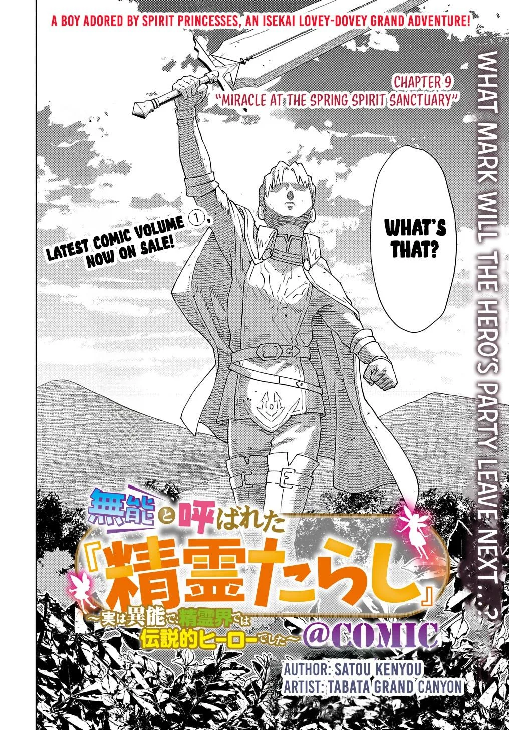 Munou to Yobareta "Seirei Tarashi" ~Jitsuwa Inou de, Seirei Kaide wa Densetsuteki Hero Deshita~ Chapter 9 page 3