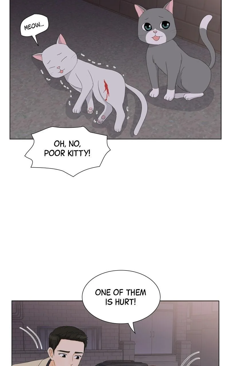 My Bias, My Boss Chapter 11 page 22