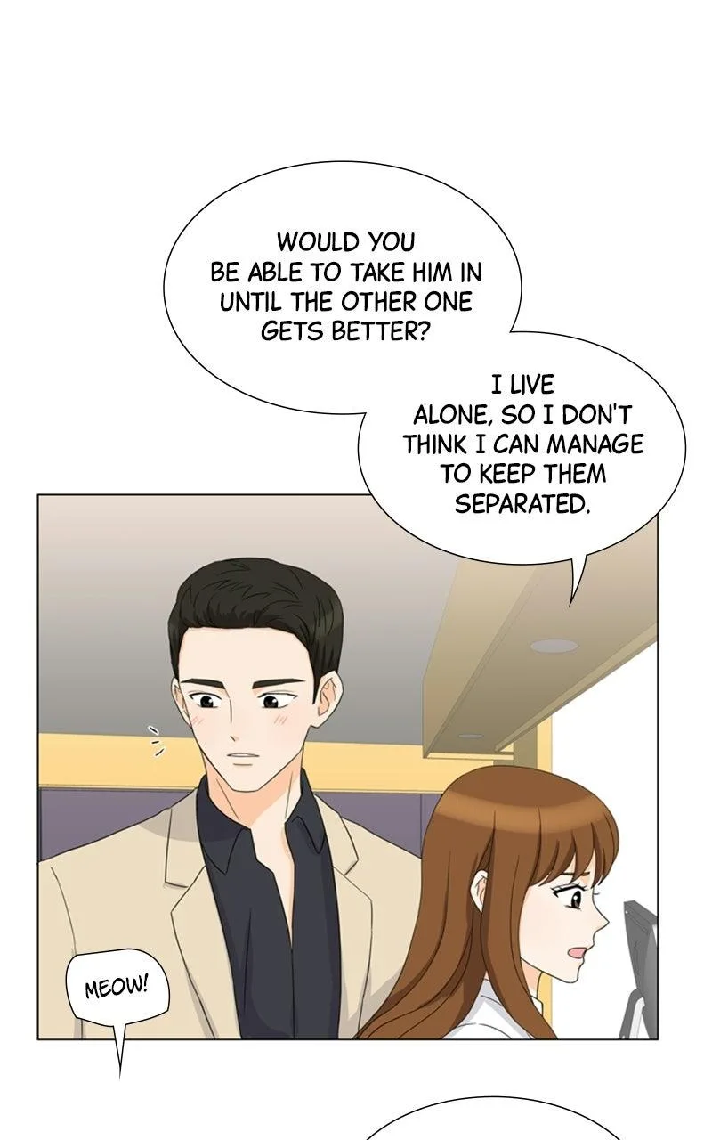 My Bias, My Boss Chapter 11 page 34