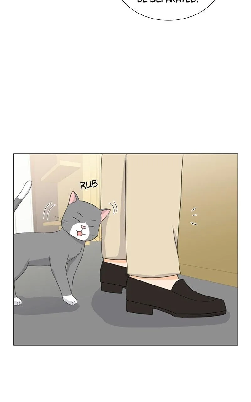 My Bias, My Boss Chapter 11 page 33
