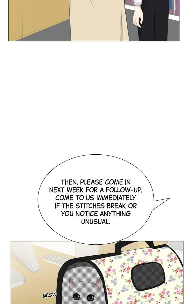 My Bias, My Boss Chapter 11 page 38