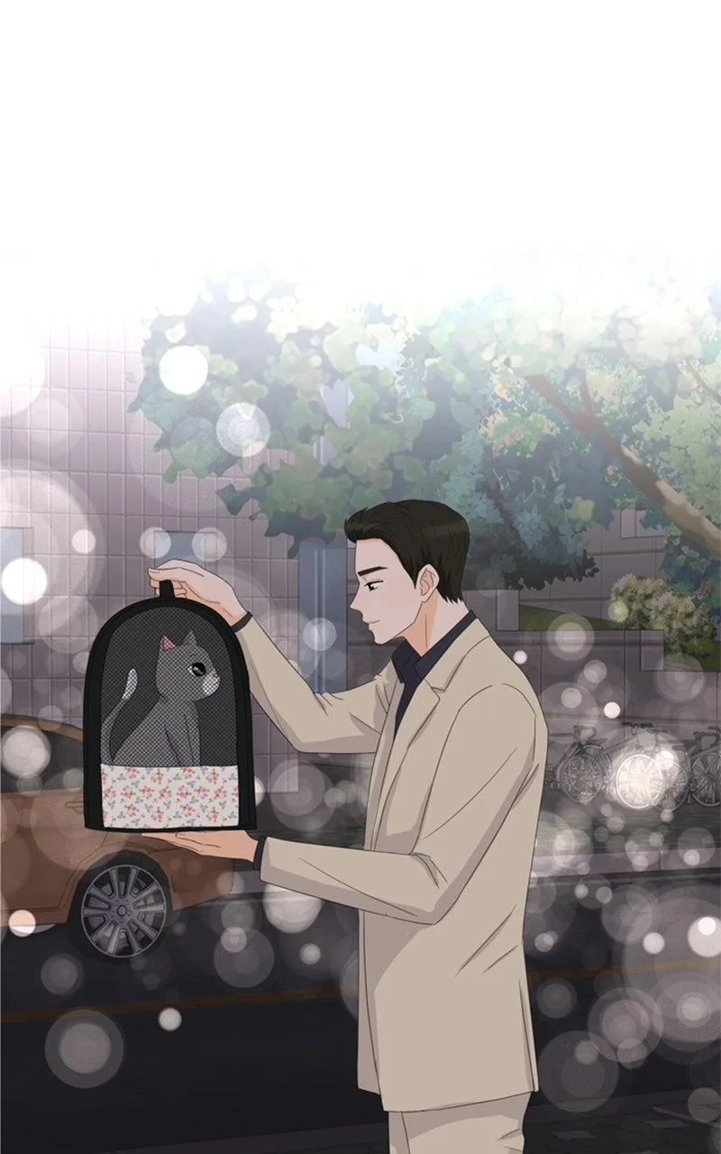My Bias, My Boss Chapter 11 page 41
