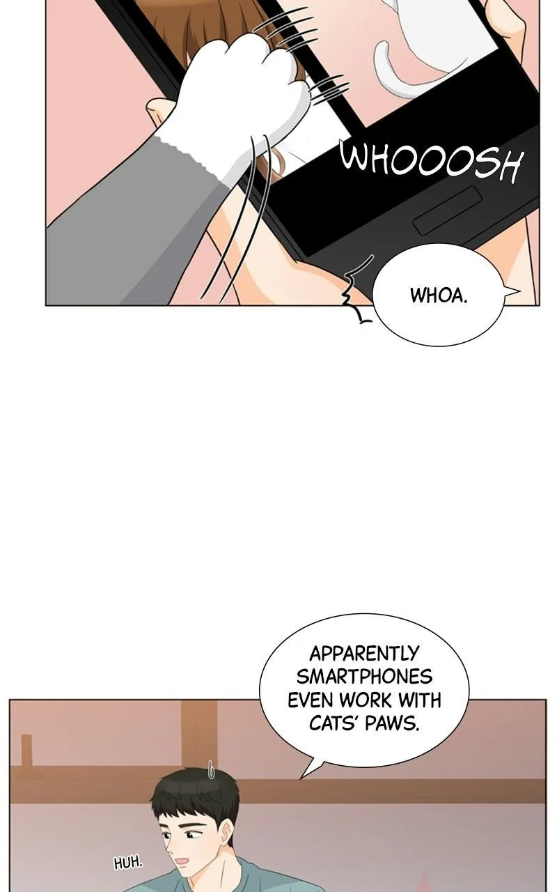 My Bias, My Boss Chapter 16 page 48