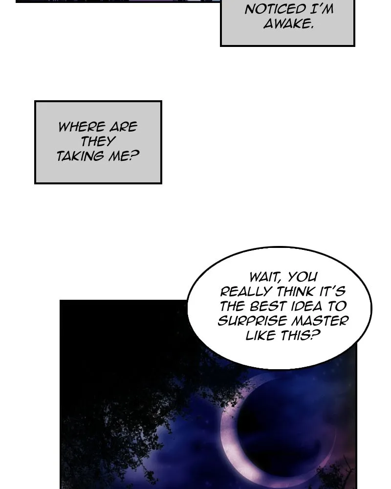 My Dear Cold-Blooded King Chapter 49 page 13