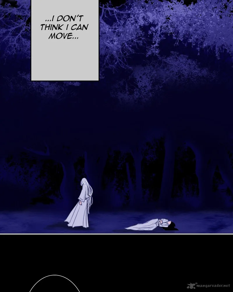 My Dear Cold-Blooded King Chapter 6 page 41
