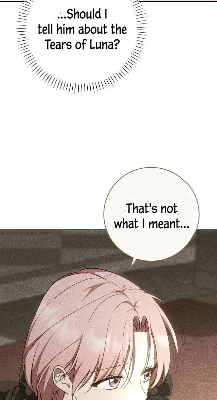 My Husband Was Stolen Twice Chapter 64 page 77