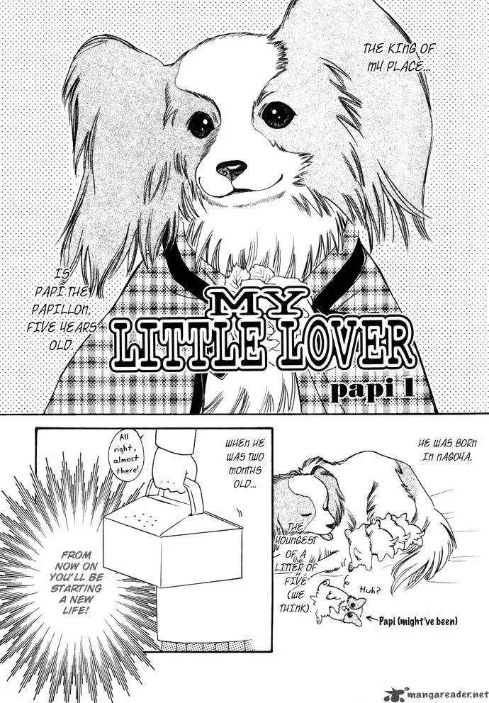 My Little Lover Chapter 1 page 6