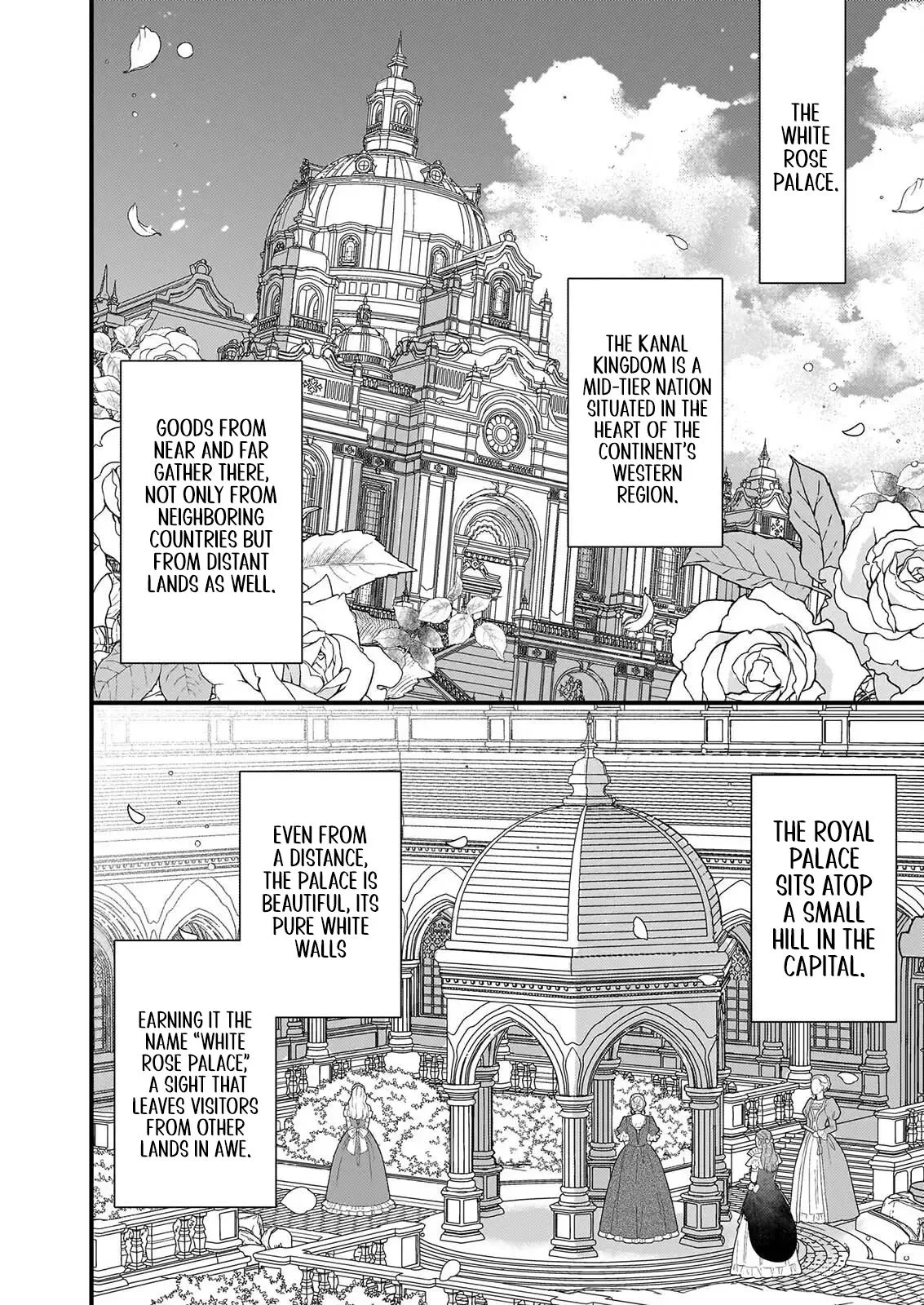 My Magician: The Oppressed Girl Chosen by the Beautiful Prince's Younger Brother Chapter 3 page 25