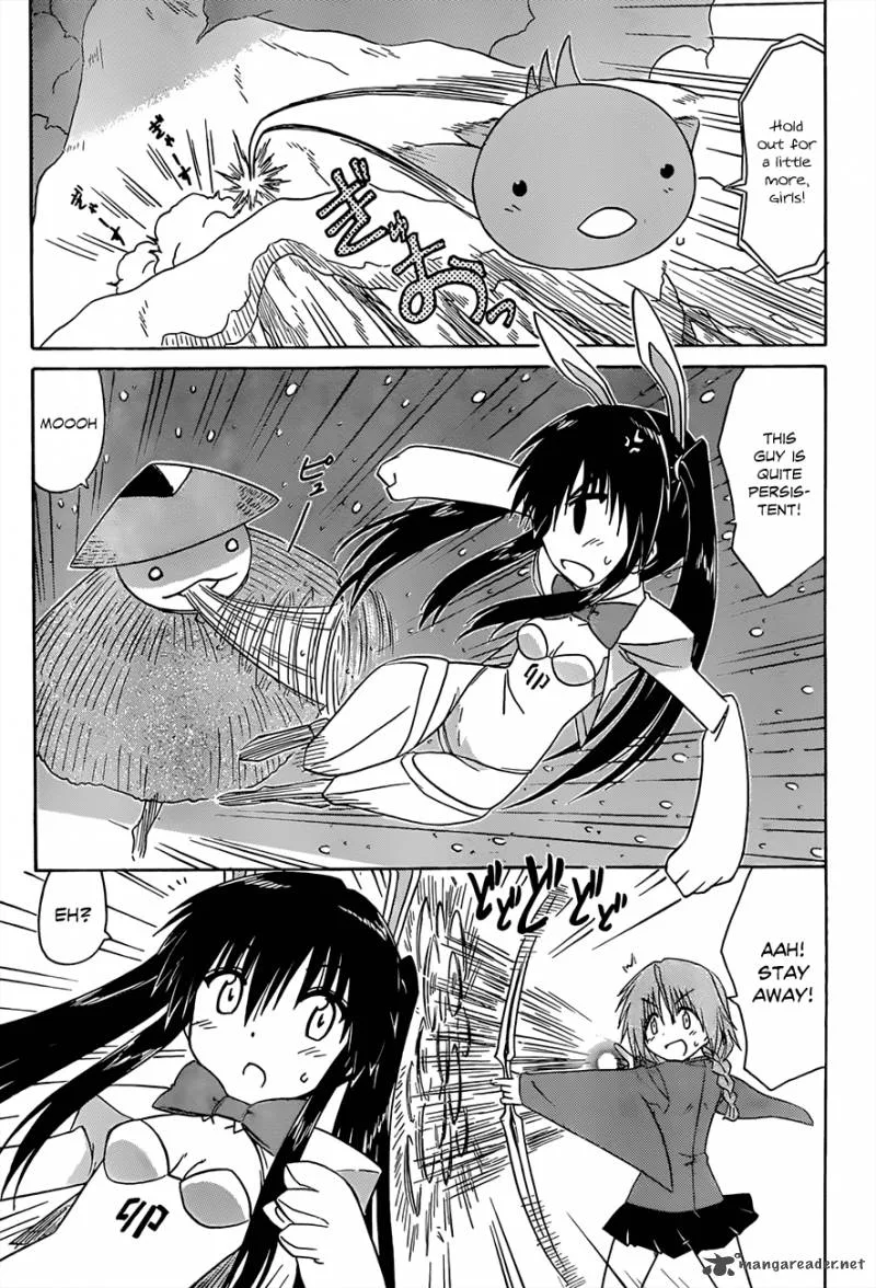 Nagasarete Airantou Chapter 121 page 14