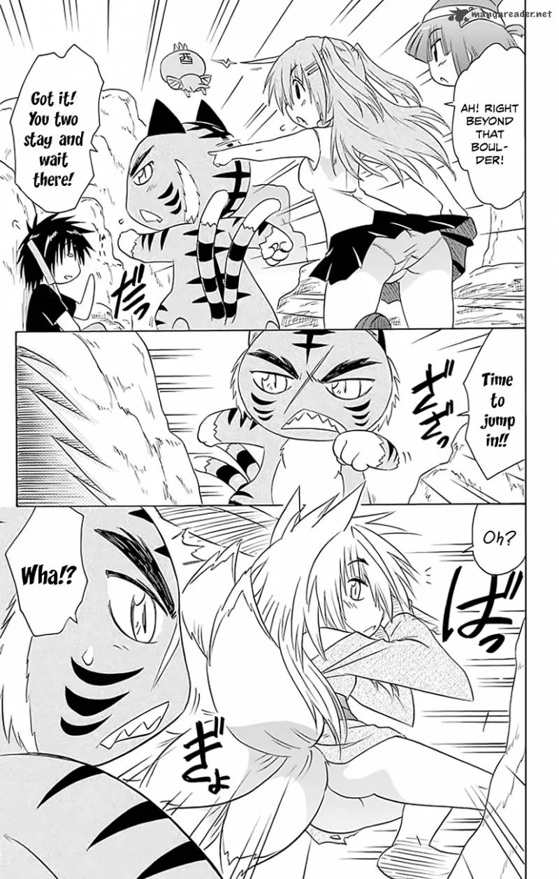 Nagasarete Airantou Chapter 149 page 14
