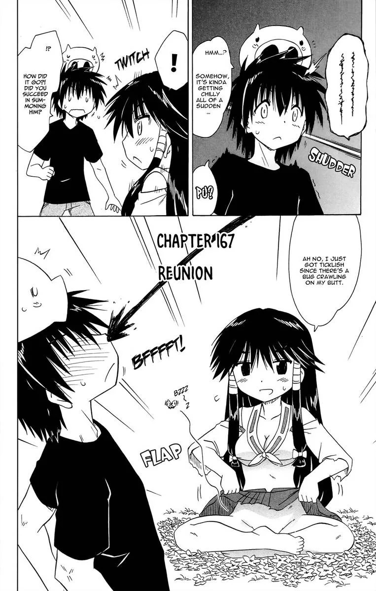 Nagasarete Airantou Chapter 167 page 12