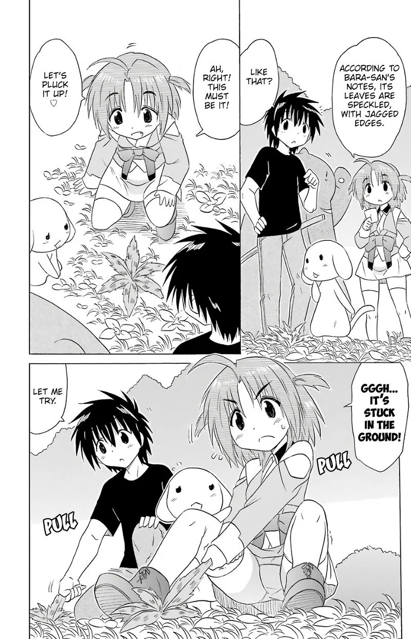 Nagasarete Airantou Chapter 189 page 14