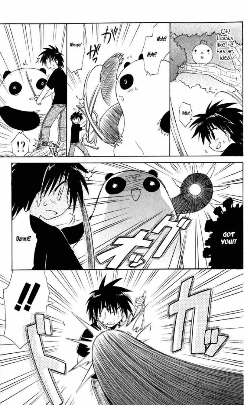 Nagasarete Airantou Chapter 51 page 17