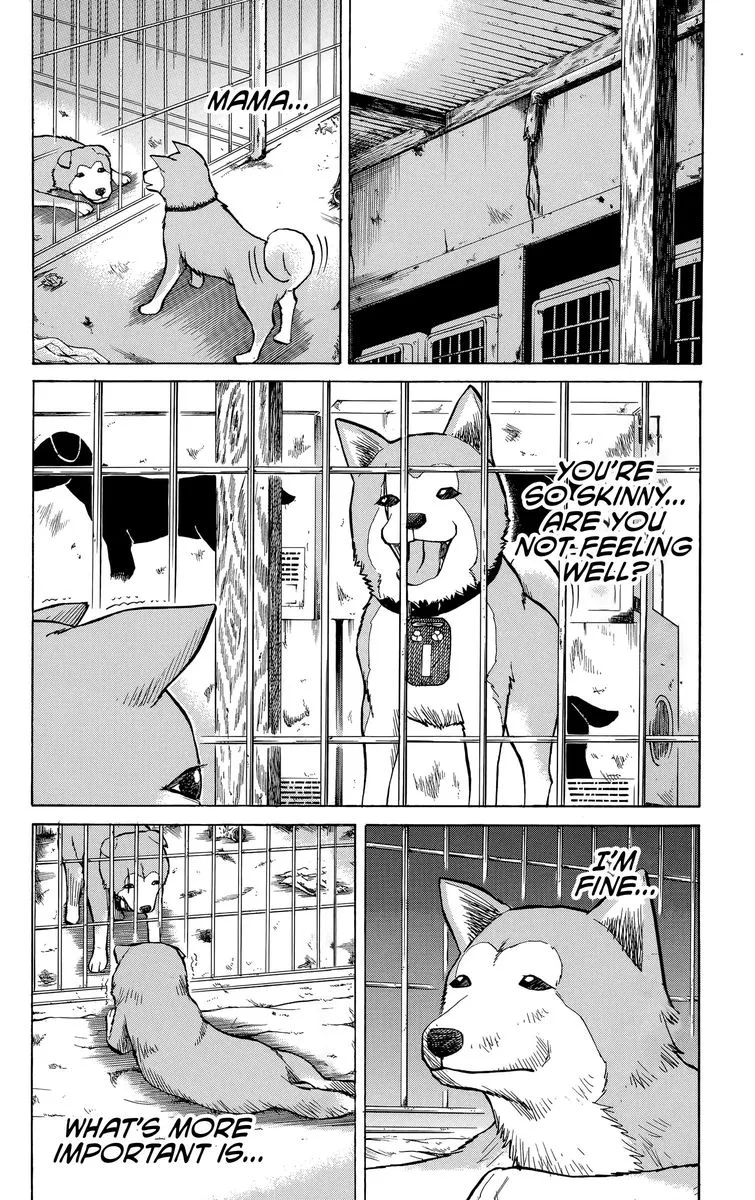 Nanba Mg5 Chapter 100 page 6