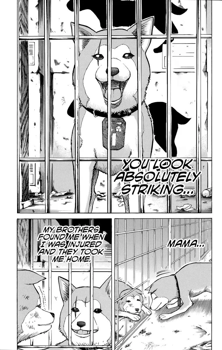 Nanba Mg5 Chapter 100 page 7