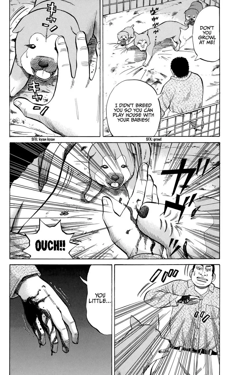 Nanba Mg5 Chapter 95 page 15