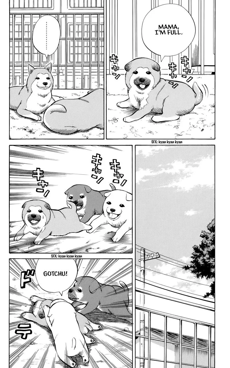 Nanba Mg5 Chapter 95 page 5