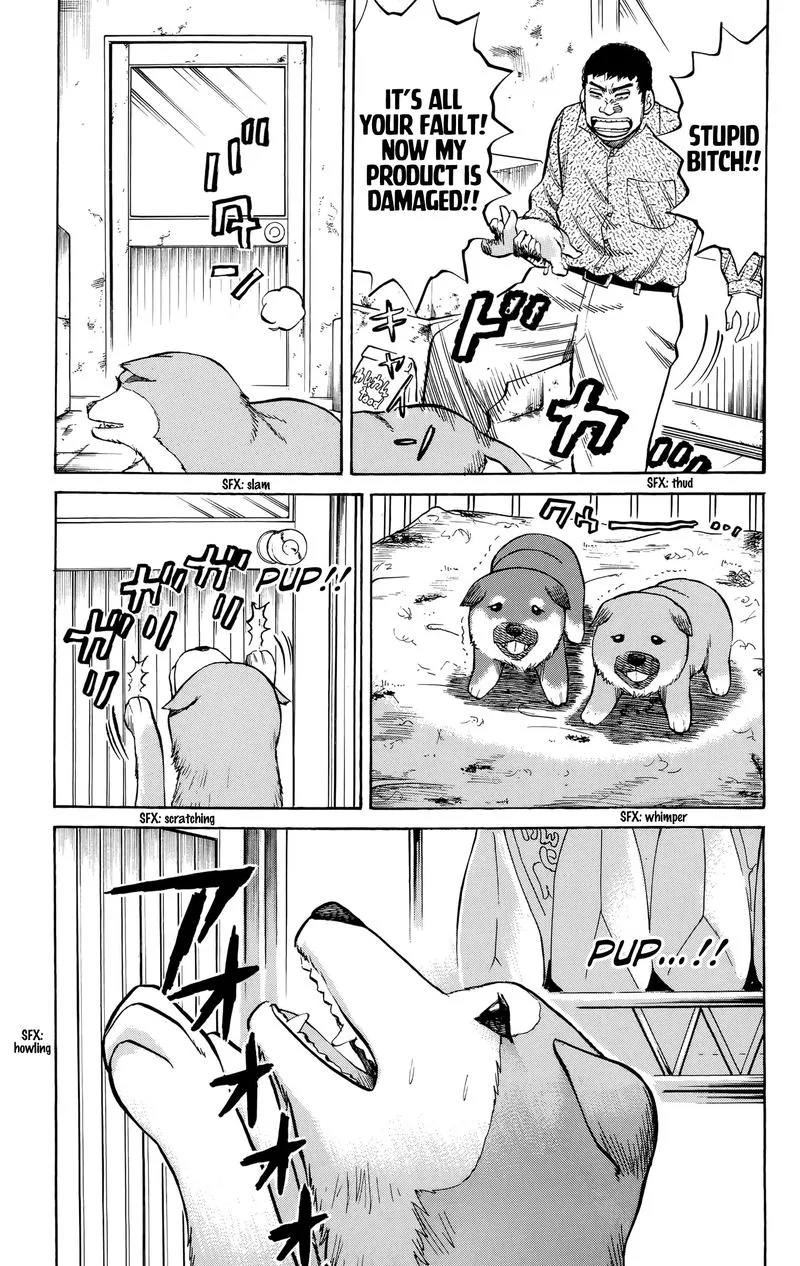 Nanba Mg5 Chapter 95 page 20