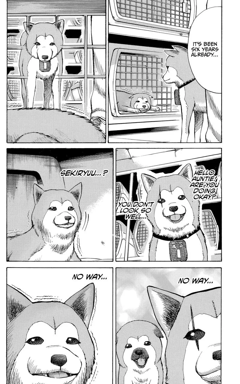 Nanba Mg5 Chapter 98 page 20
