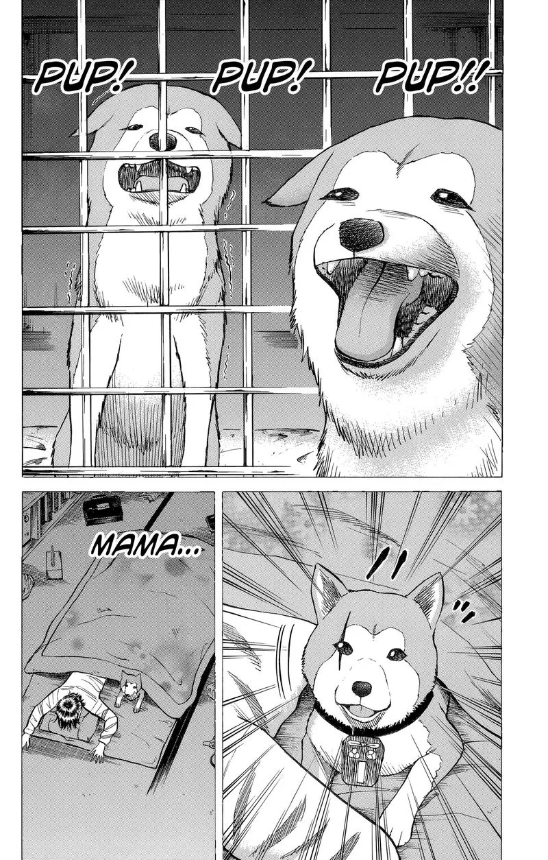 Nanba Mg5 Chapter 99 page 10