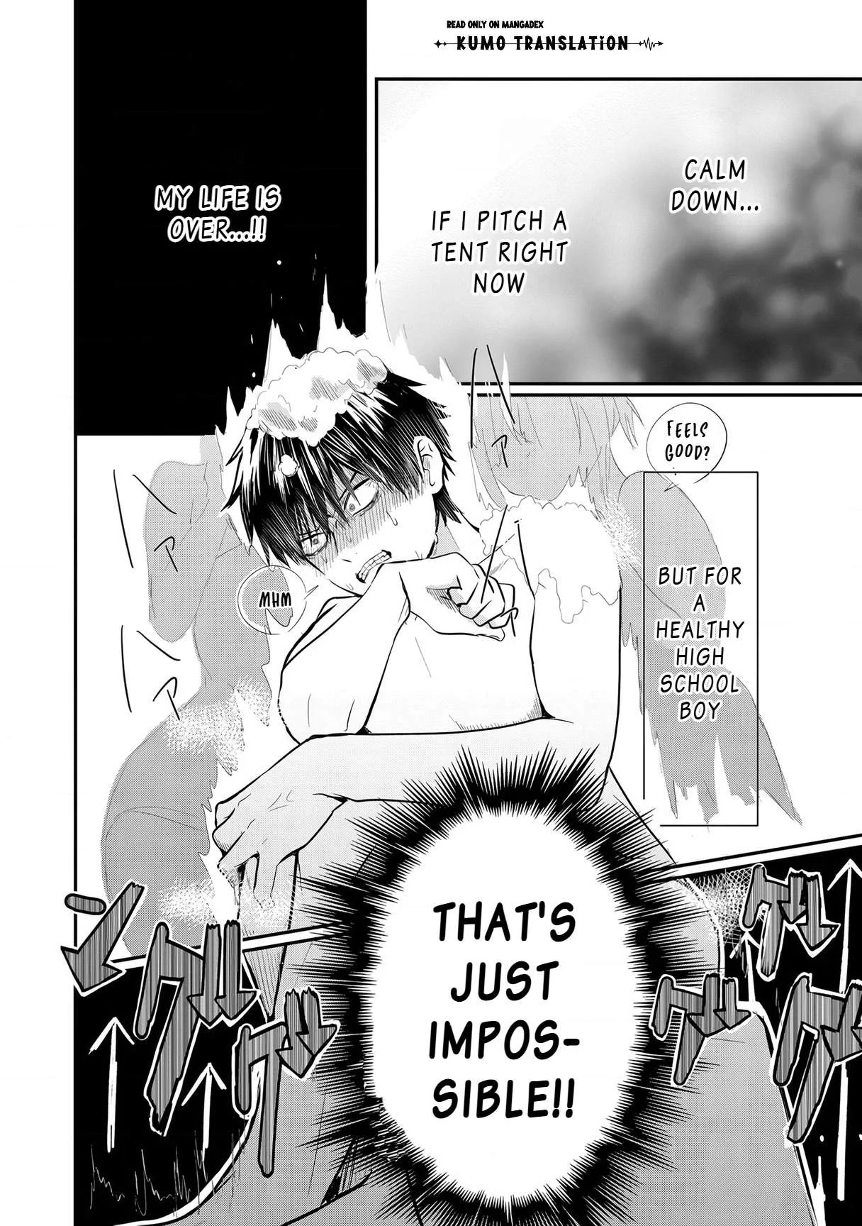 Nani No Torie Mo Nai Heibonna Ore Ga Bijin Futago Shimai Wo Inochigake De Tasuketa Kekka, Jitsuha Yan De Redatta Ni Nin Wo Ga Chi Horesaseteshimatta Ken Chapter 5.1 page 12