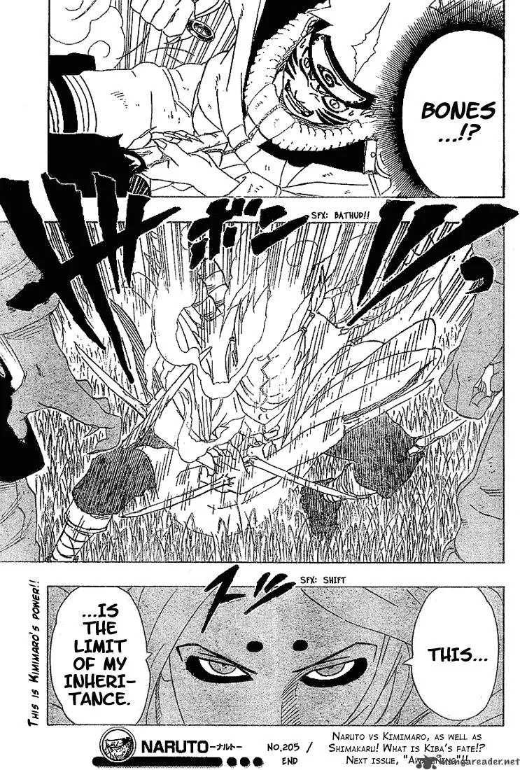 Naruto Chapter 205 page 19