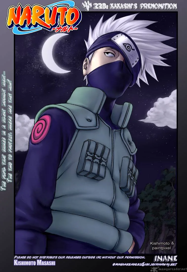 Naruto Chapter 228 page 2
