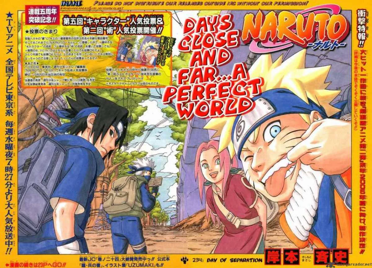 Naruto Chapter 234 page 2