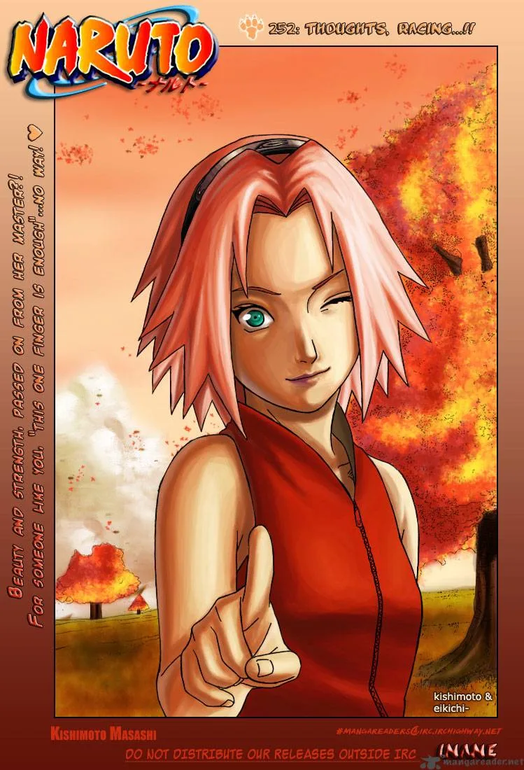 Naruto Chapter 252 page 2