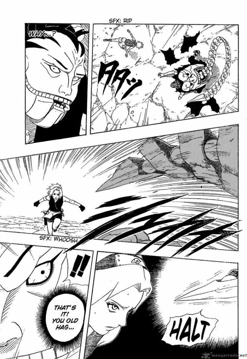 Naruto Chapter 265 page 17