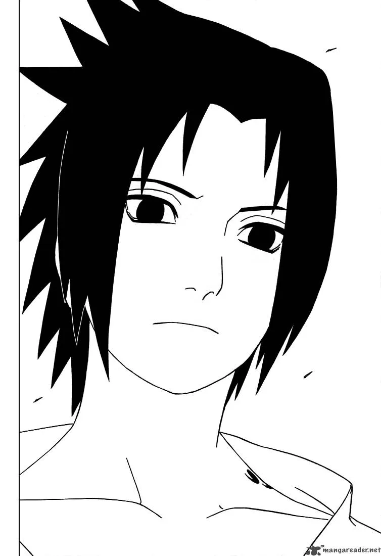 Naruto Chapter 306 page 14
