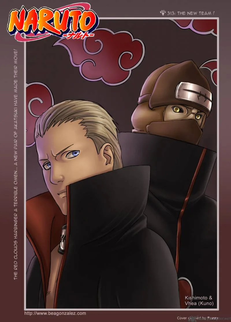 Naruto Chapter 313 page 3