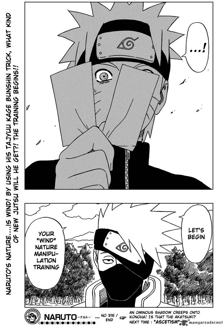 Naruto Chapter 315 page 17