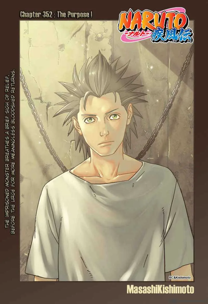 Naruto Chapter 352 page 9
