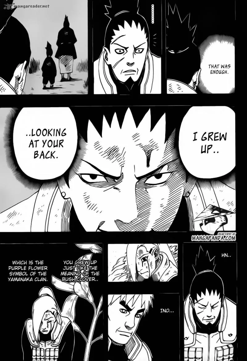 Naruto Chapter 616 page 14