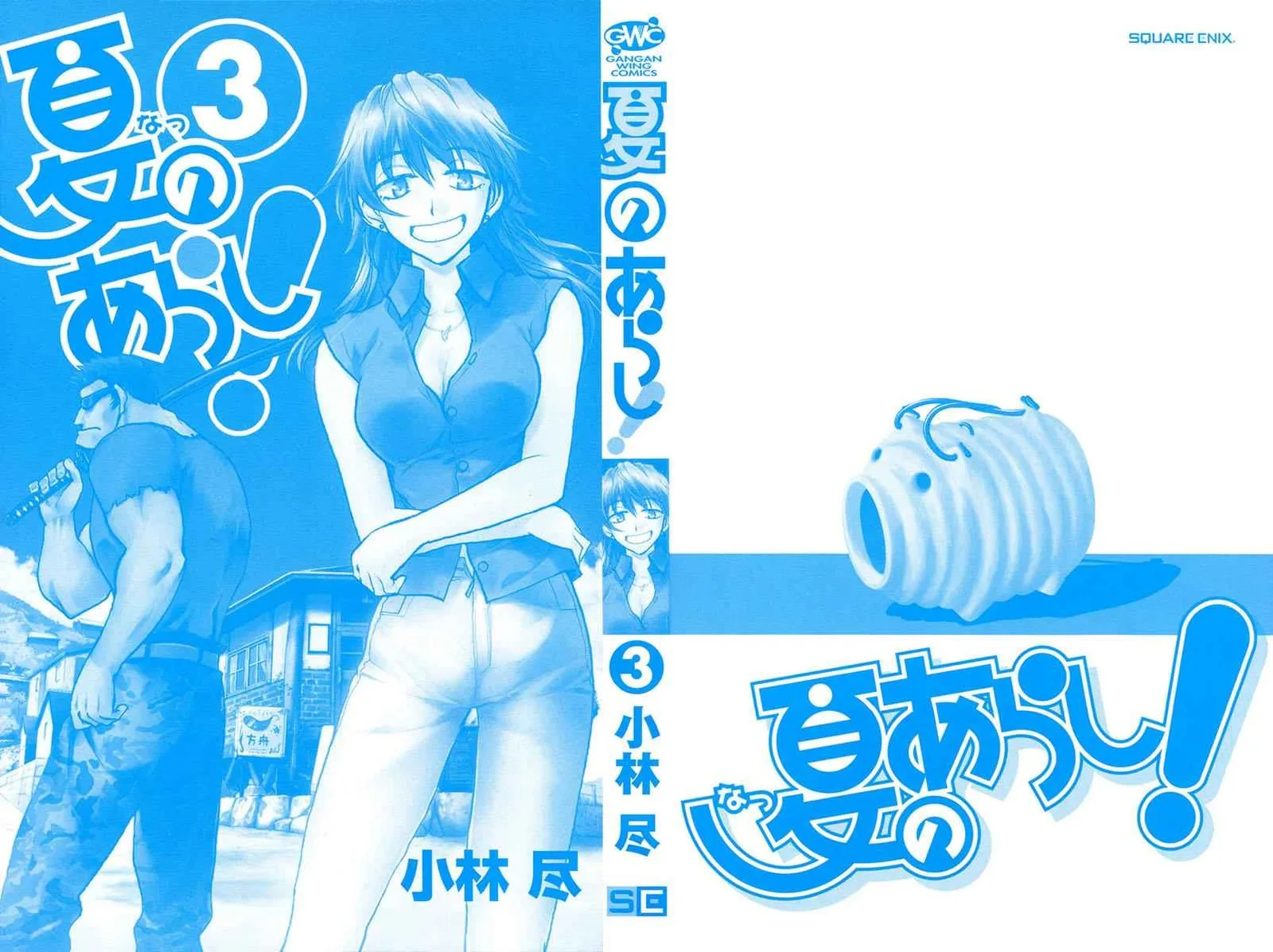 Natsu no Arashi! Chapter 13 page 3